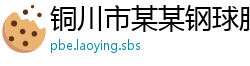 铜川市某某钢球股份业务部